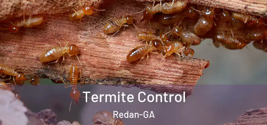 Termite Control Redan-GA