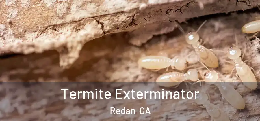 Termite Exterminator Redan-GA