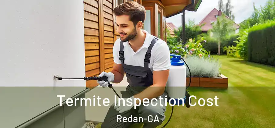 Termite Inspection Cost Redan-GA
