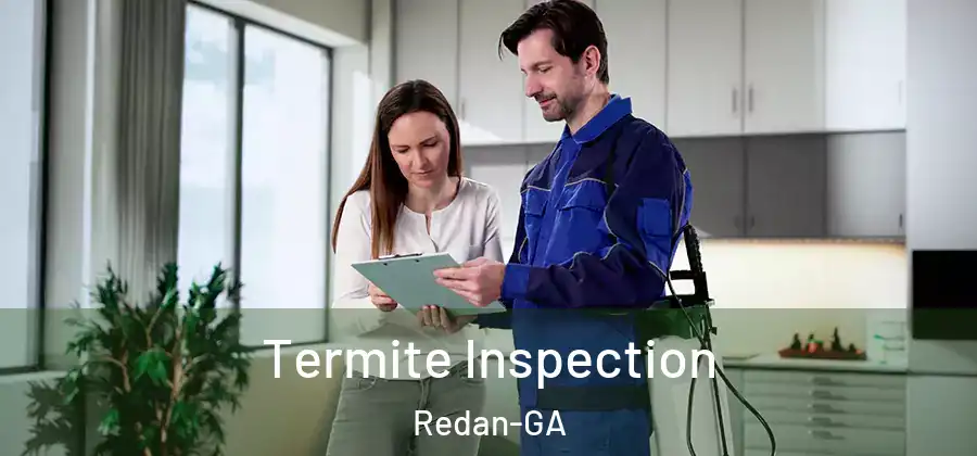 Termite Inspection Redan-GA