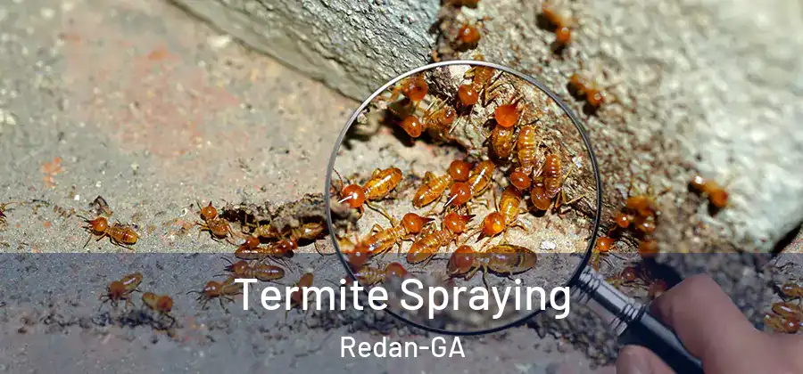 Termite Spraying Redan-GA