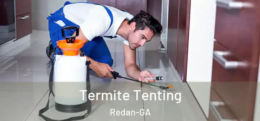 Termite Tenting Redan-GA