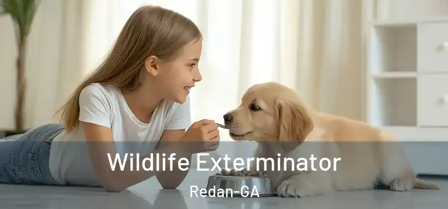 Wildlife Exterminator Redan-GA