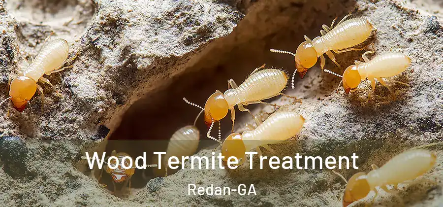 Wood Termite Treatment Redan-GA