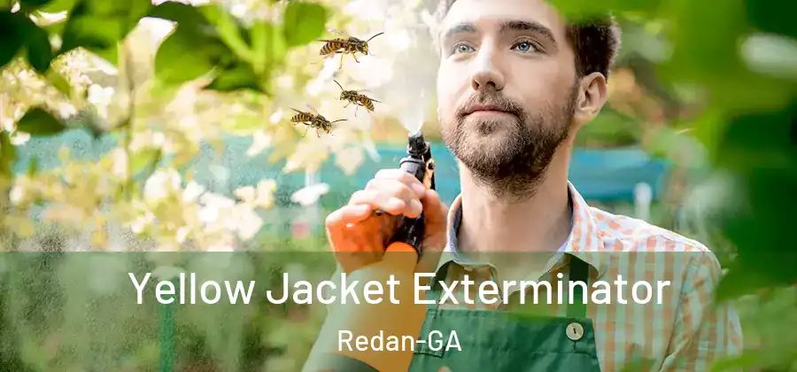 Yellow Jacket Exterminator Redan-GA