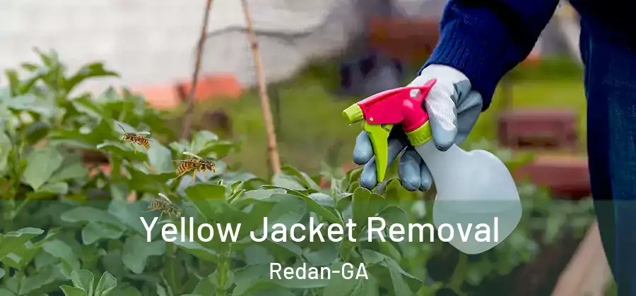 Yellow Jacket Removal Redan-GA